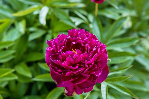 Commerçants : avantages des emballages personnalisés éco-responsables